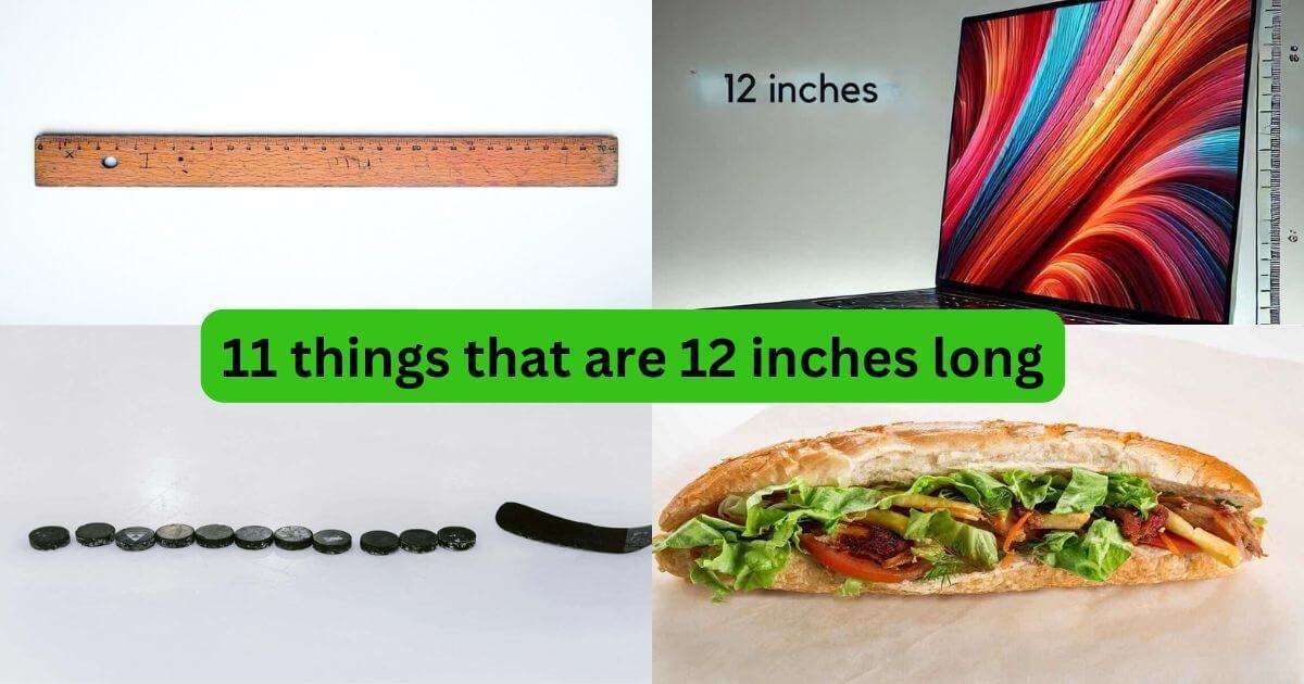 things-that-are-12-inches-long