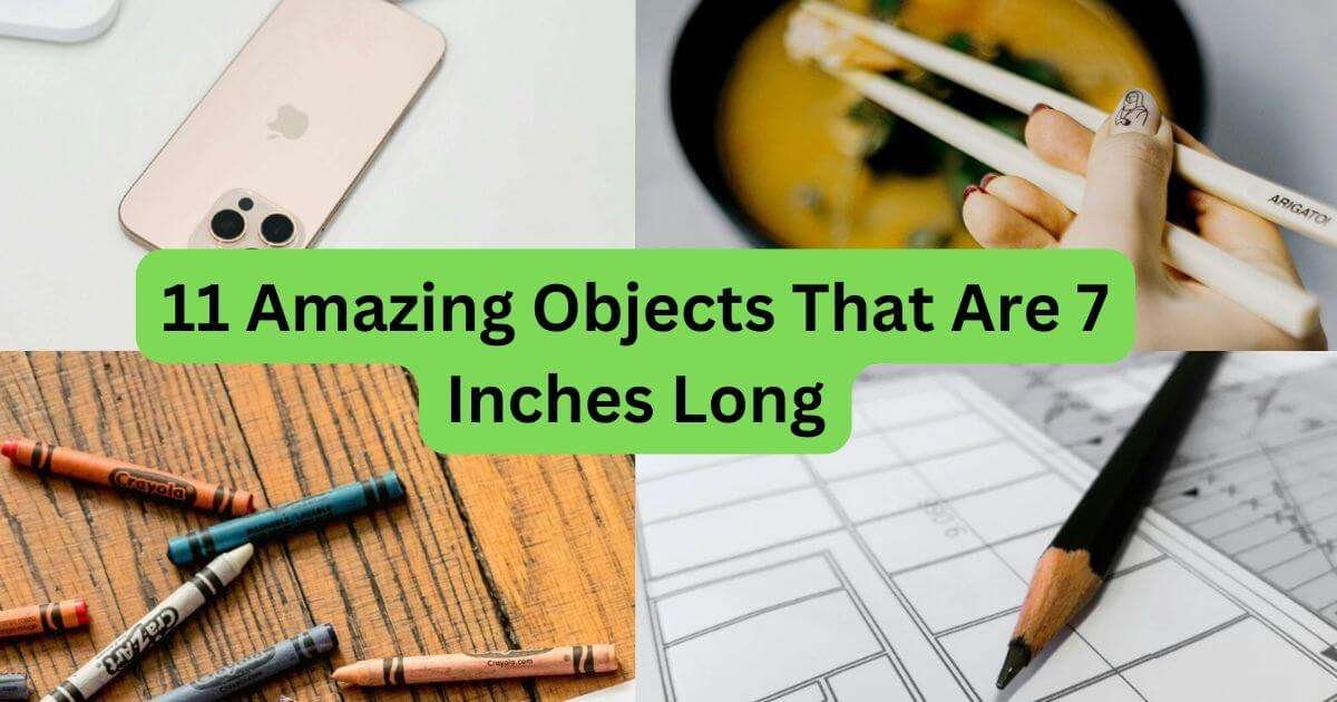 7-inches-long