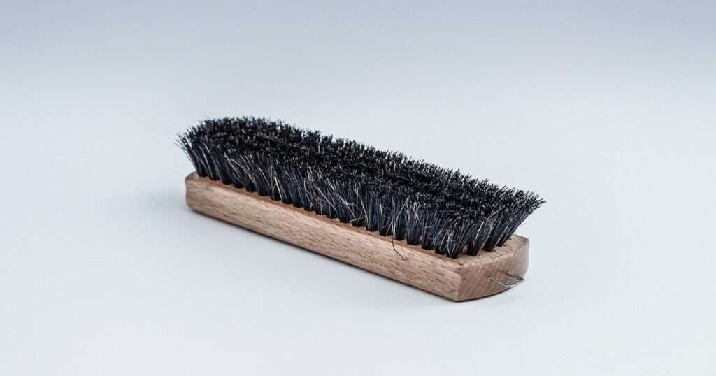 Shoe-Brush eight inch long