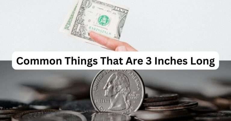 Things-That-Are-3-inches-Long