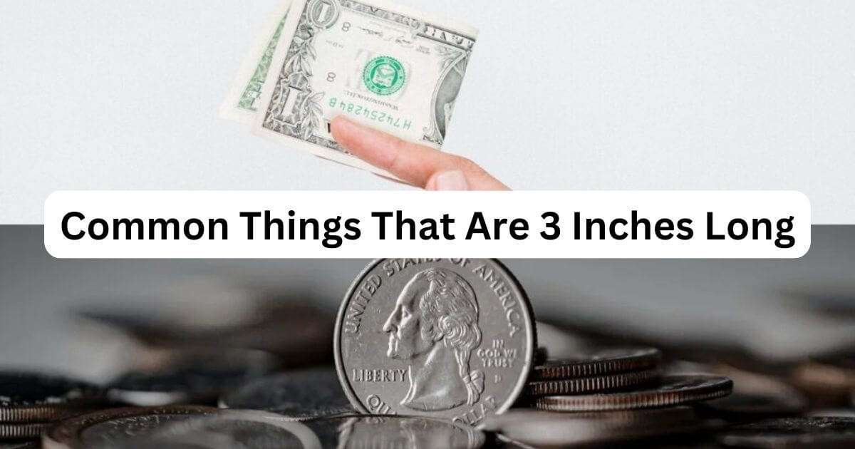 Things-That-Are-3-inches-Long