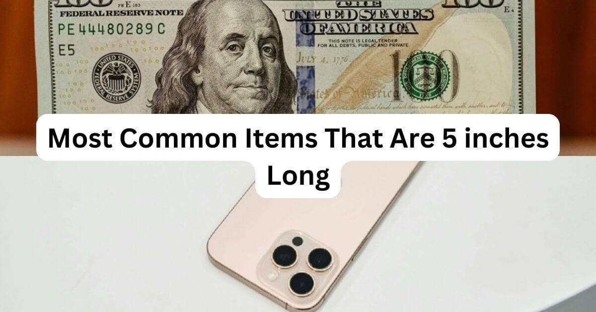 Things-That-Are-5-inches-Long