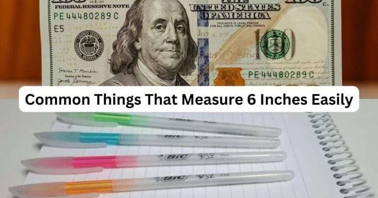 Things-That-Are-6-Inches-Long