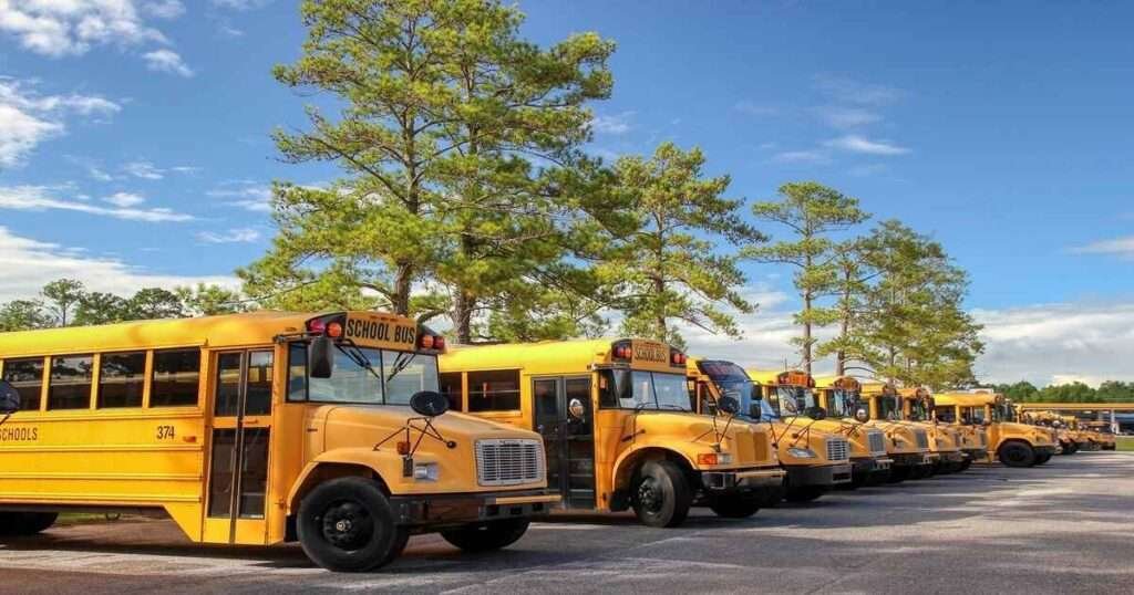 School-Buses-in-a-Row