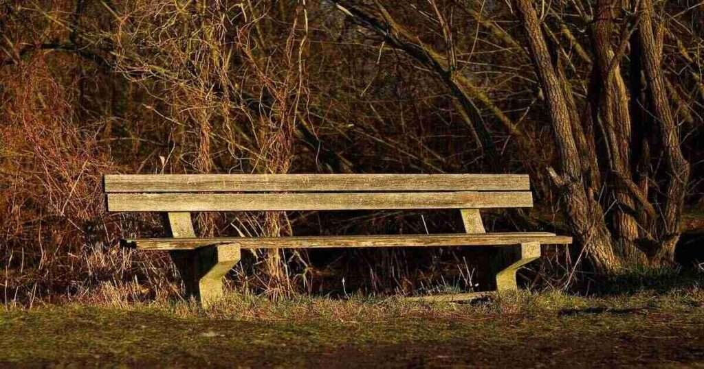 Park-Benches