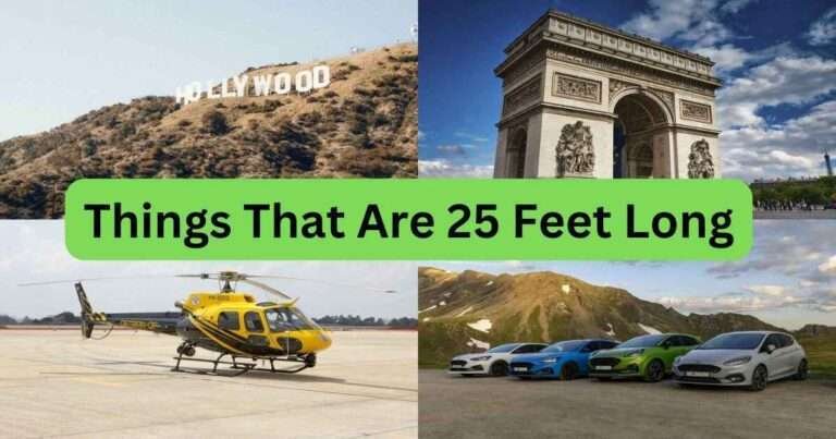 Things-That-Are-25-Feet-Long