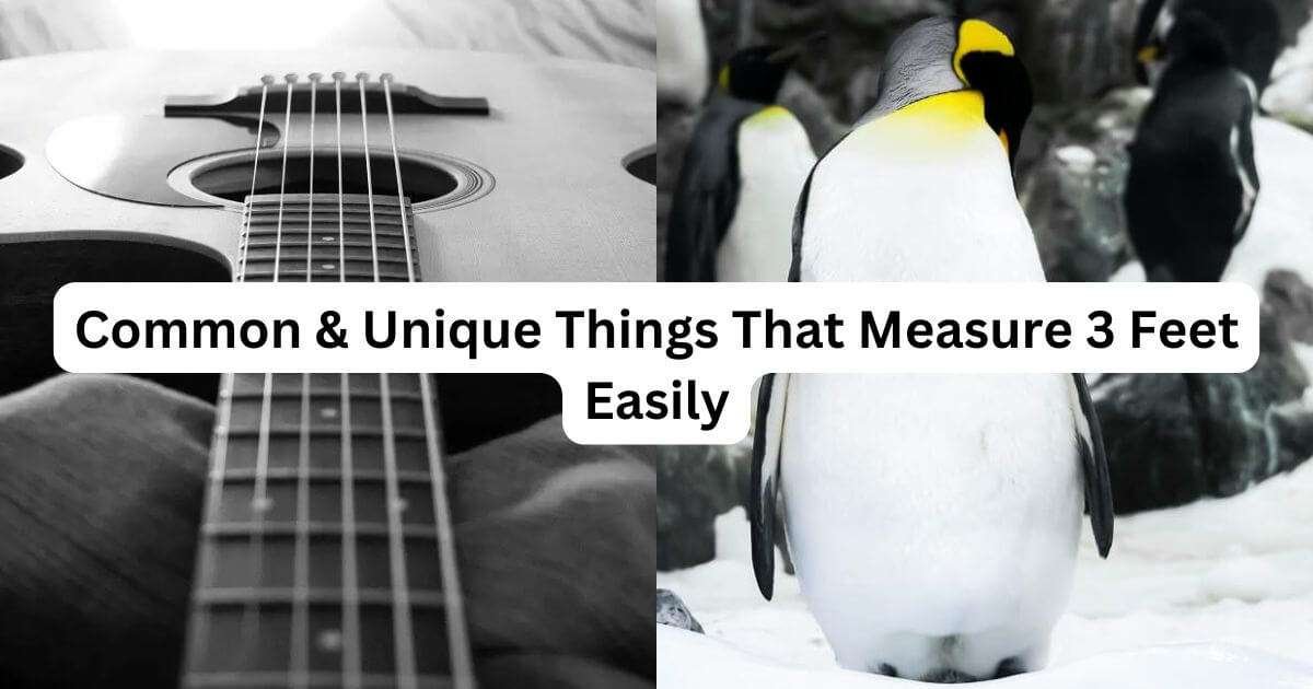 Things-That-Are-3-feet-long