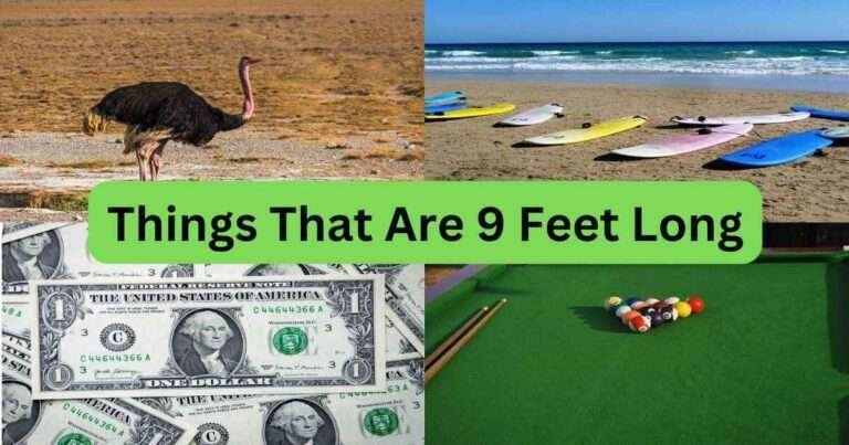 Things-That-Are-9-Feet-Long