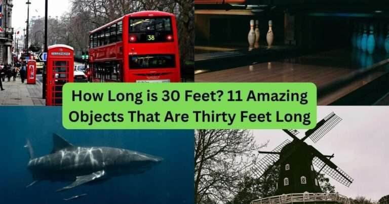 how-long-is-30-feet