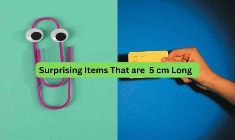 11-Surprising-Items-That-Are-5-cm-Long