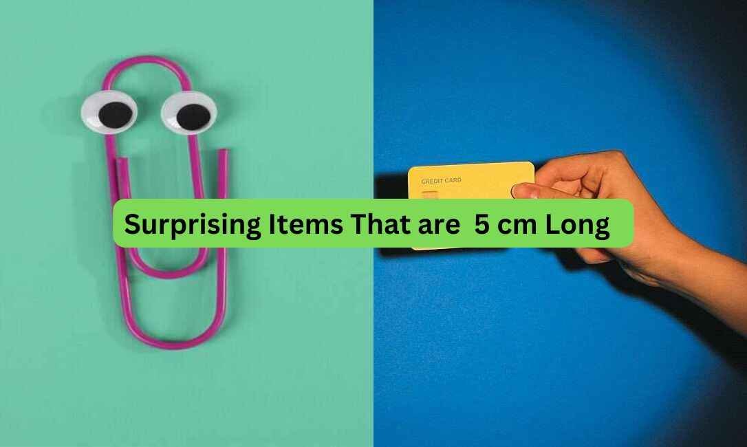 11-Surprising-Items-That-Are-5-cm-Long