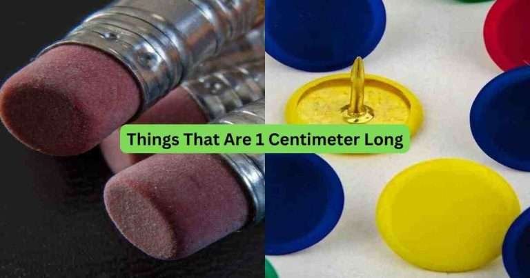12-Things-That-Are-1-Centimeter-Long
