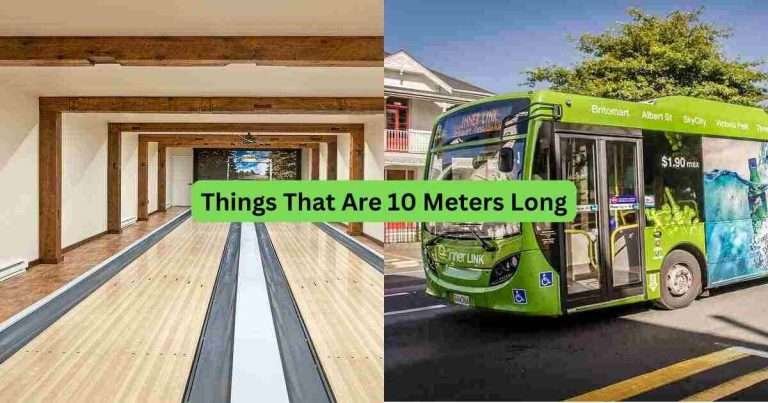 12-Things-That-Are-10-Meters-Long