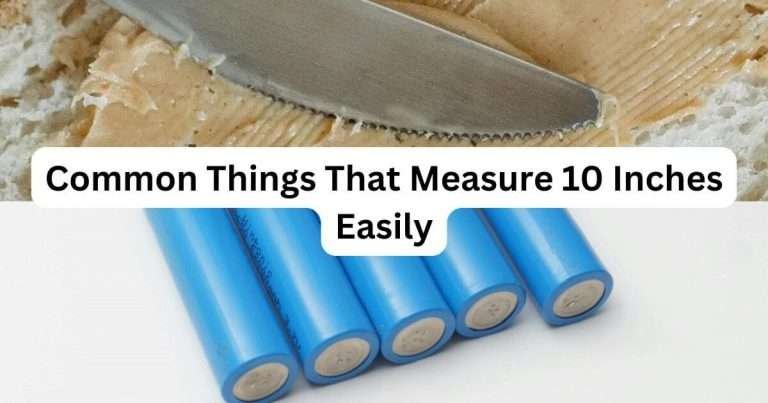 Things-That-Are-10-inches-Long