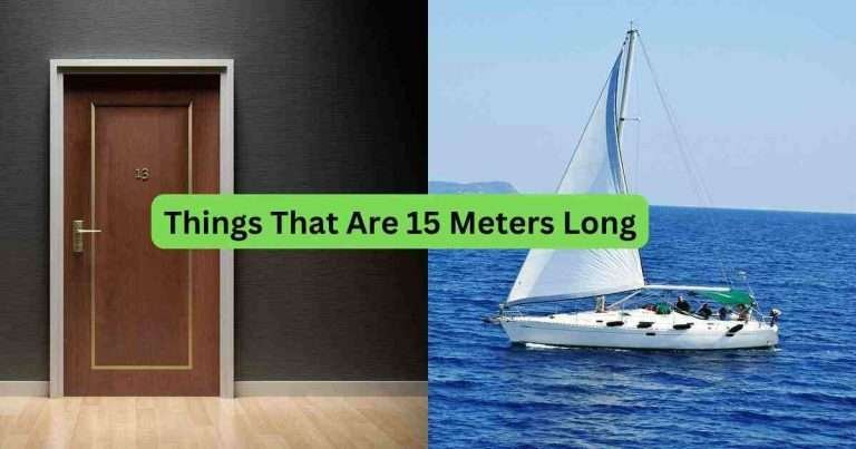 10-Things-That-Are-15-Meters-Long