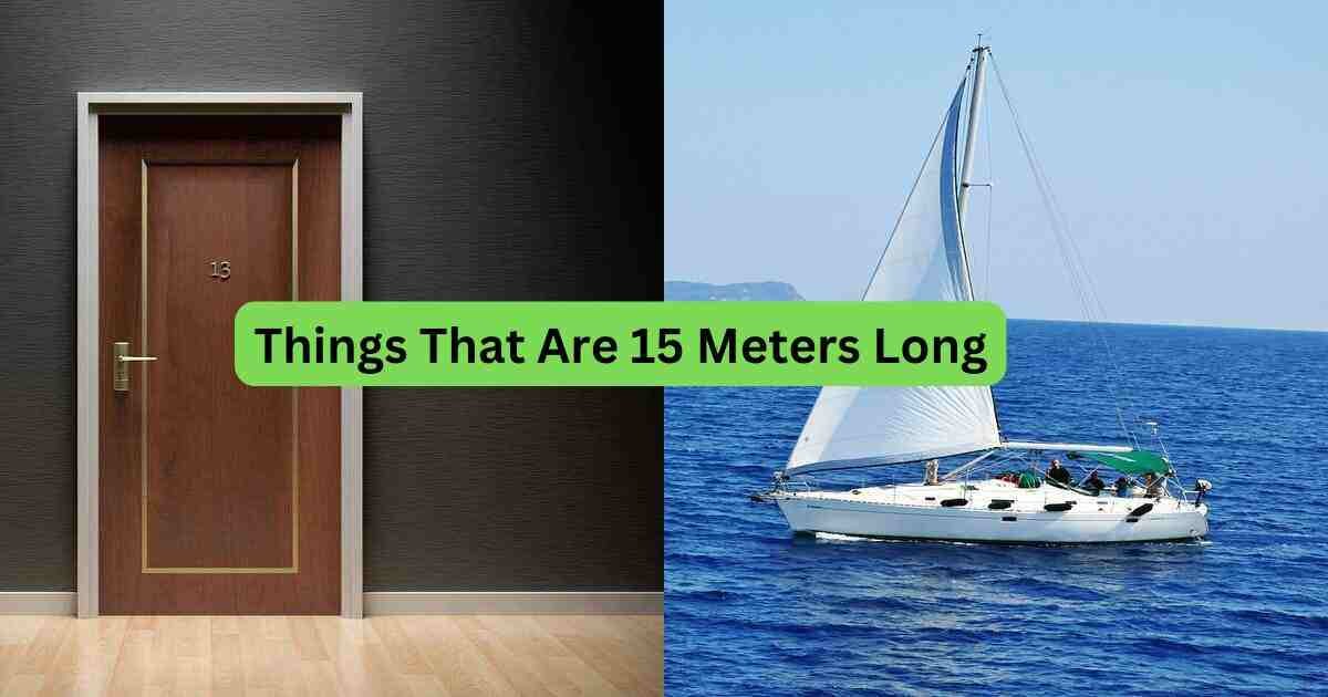 10-Things-That-Are-15-Meters-Long
