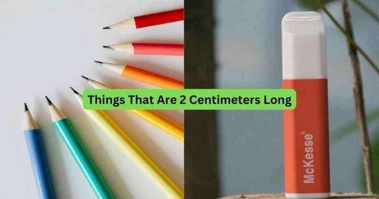 12-Things-That-Are-2-Centimeters-Long