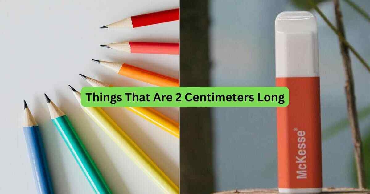 12-Things-That-Are-2-Centimeters-Long
