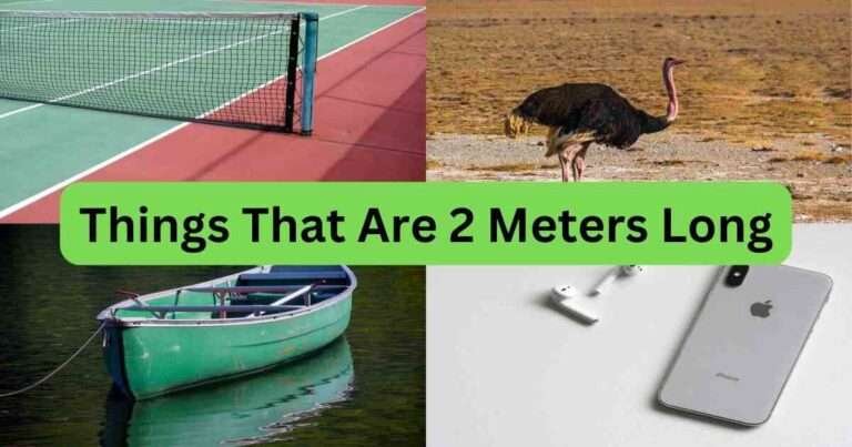Things-That-Are-2-Meters-Long