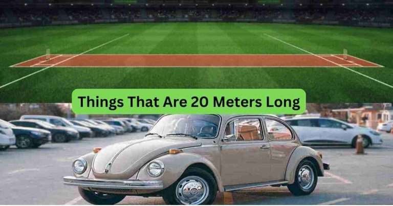 11-Things-That-Are-20-Meters-Long