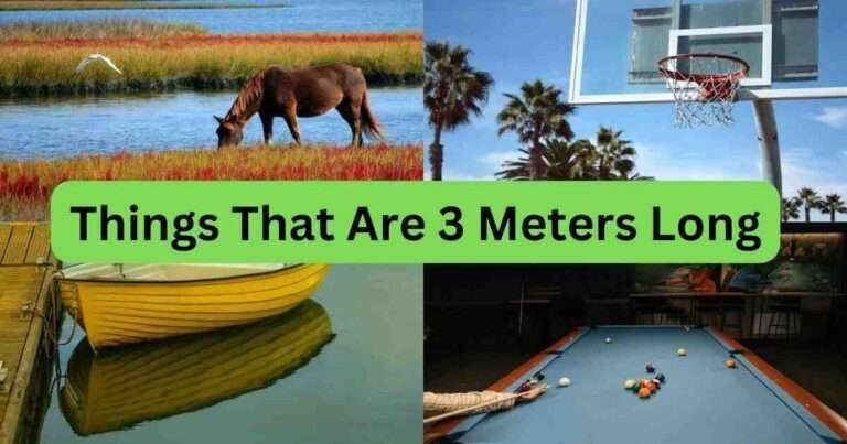 Things-That-Are-3-Meters-Long