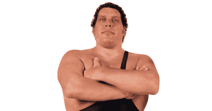 as-tall-as-four-and-a-half-andres-the-giant