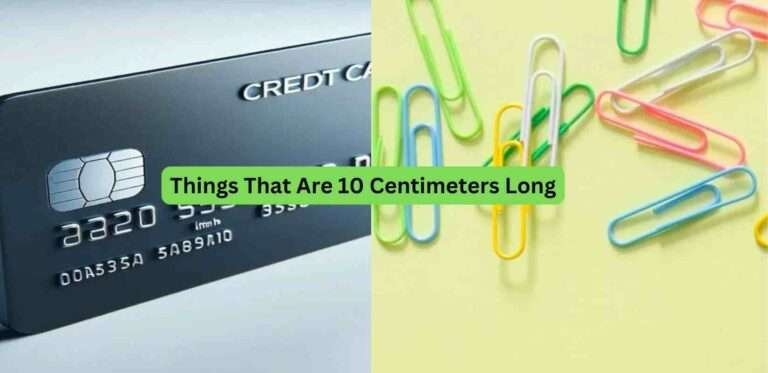 12-Things-That-Are-10-Centimeters-Long