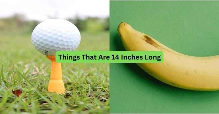13-Things-That-Are-14-Inches-Long