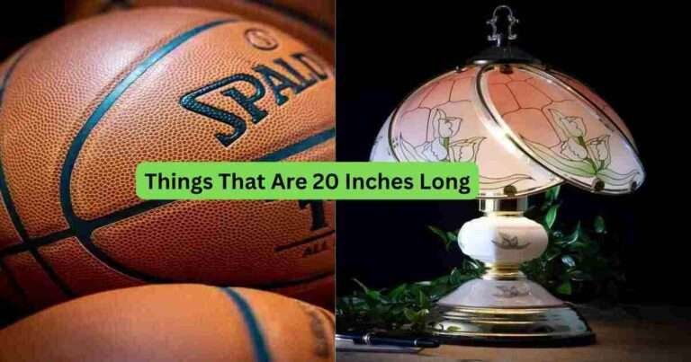 13-Things-That-Are-20-Inches-Long