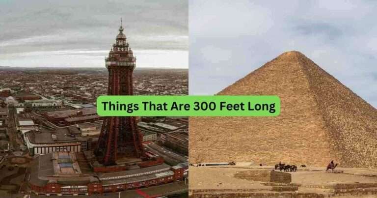 14-Things-That-Are-300-Feet-Long