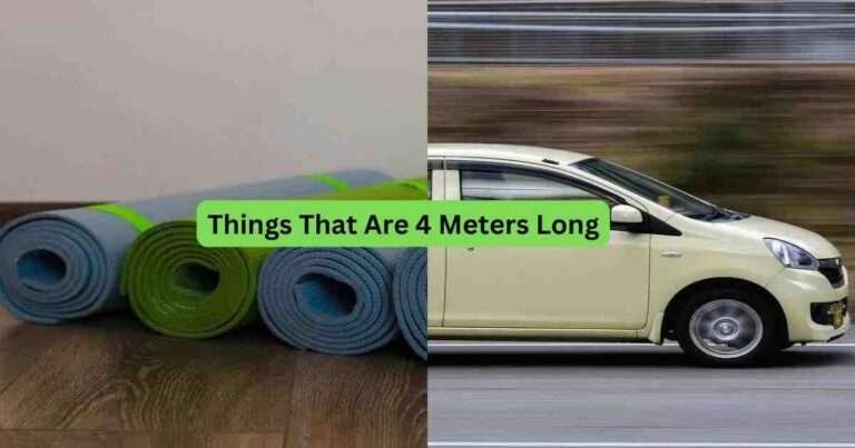 12-Things-That-Are-4-Meters-Long