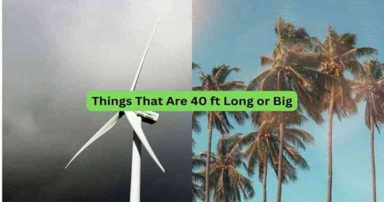 12-Things-That-Are-40-ft-Long-or-Big