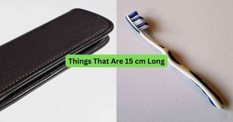 13-Things-That-Are-15-centimeters-Long
