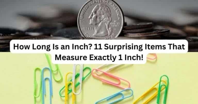 Things That Are 1-Inches Long